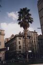 Toulon