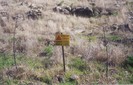 Mines in the Golan