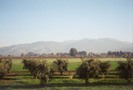 Behind Kfar Blum