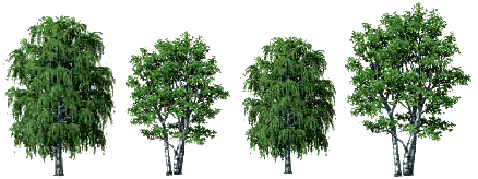 trees